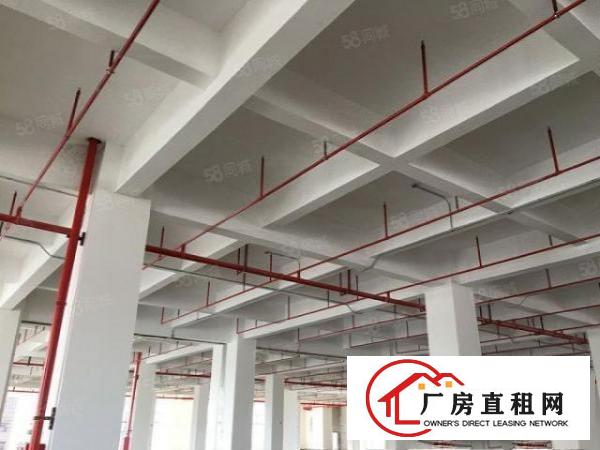  黄江中志TOD融创科技赋能产业园10万平米全新厂房写字楼出租