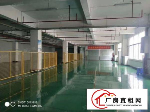 黄江新出原房东二楼1200平方带水电装修低价急租