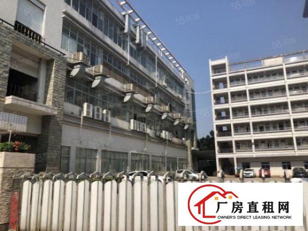  黄江镇出租带红本厂房12000平方，现成装修，工业用地