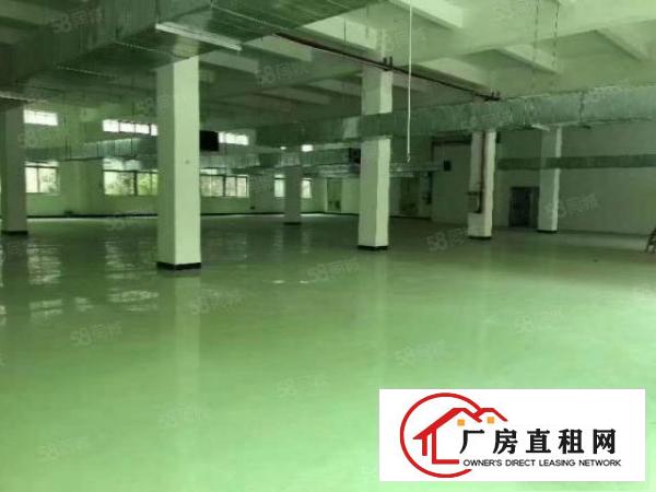  黄江镇中心新出楼上带装修厂房1500平米