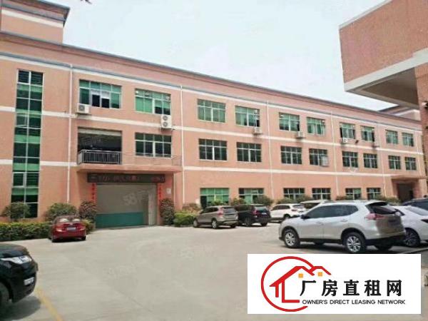  黄江镇中心新出楼上带装修厂房1500平米