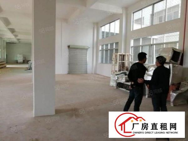  原房东招租黄江新出标准厂房实测700方，带办公室拎包进驻