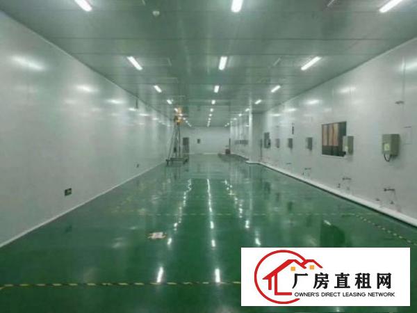  塘厦新出原房东独院出租8000平米、豪华装修