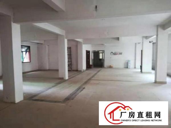  塘厦镇石潭埔塘虱龙街35号