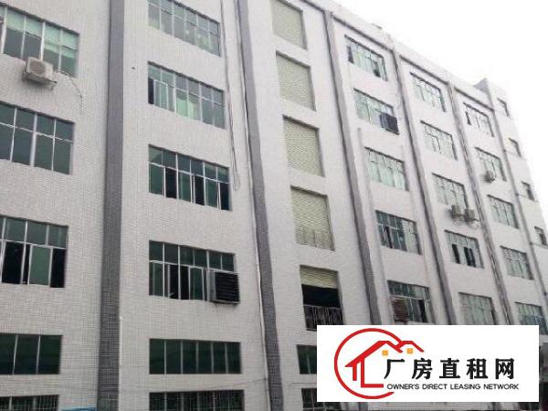  新镇区塘厦全新厂房厂房1000平米