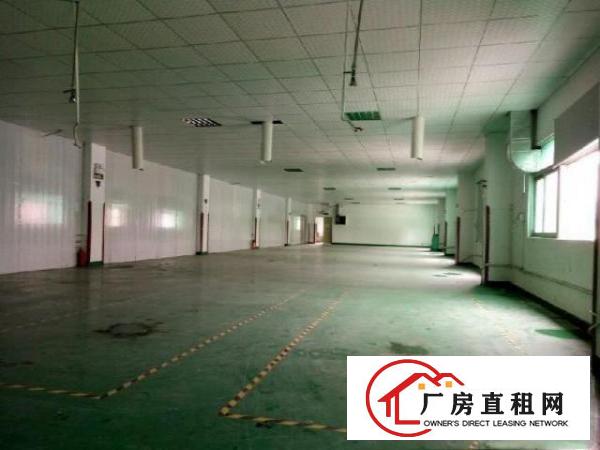  新镇区塘厦全新厂房厂房1000平米