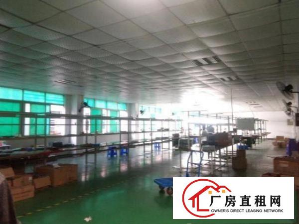  东莞市塘厦镇田心科苑城工业区二楼带装修厂房二楼750平出租