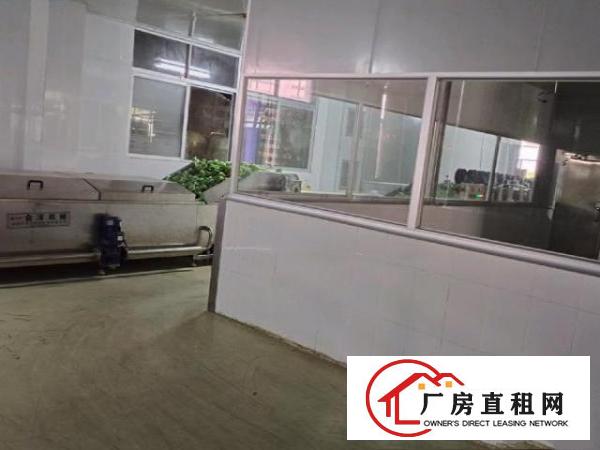  高速路口带天然气超大空地有冻库食品厂房出租