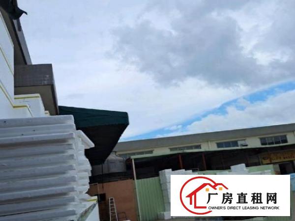  东莞塘厦镇高速路口天燃气厂房出租