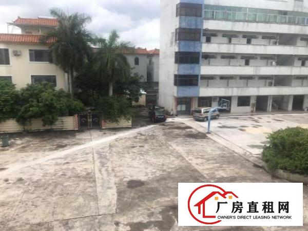  出租塘厦镇新开发区独院厂房二楼出租