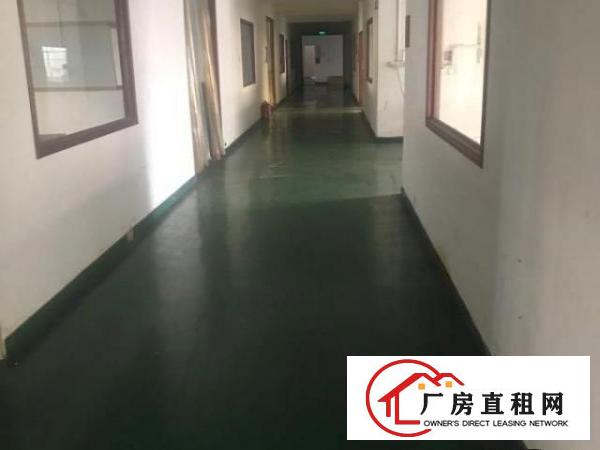  出租塘厦镇新开发区独院厂房二楼出租