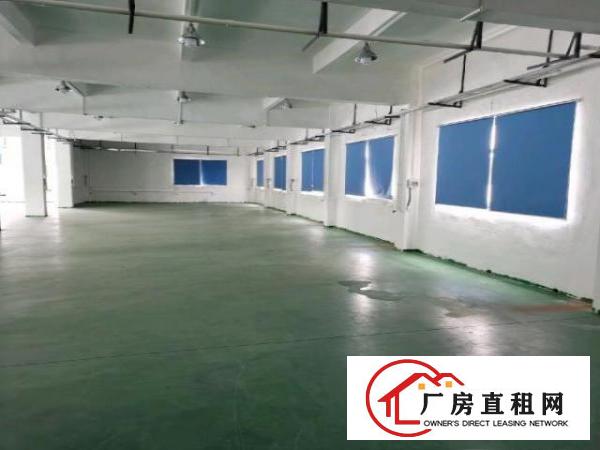  原房东标准厂房出租