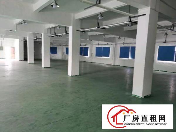  原房东标准厂房出租