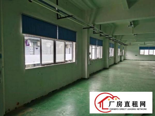  原房东标准厂房出租