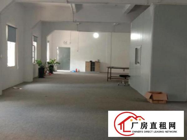  塘厦石潭埔标准厂房二楼300平出租可做电池