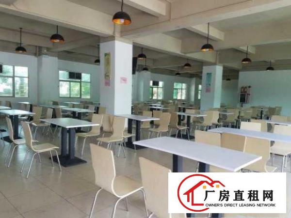  出租塘厦镇大坪高速口旁原房东中介勿扰