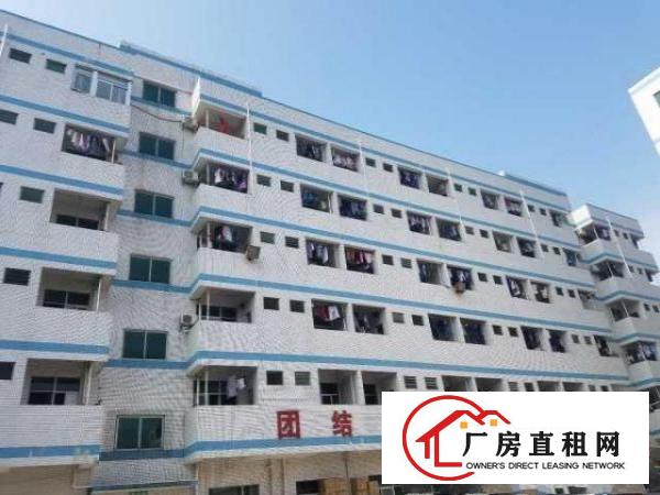  出租塘厦镇大坪高速口旁原房东中介勿扰