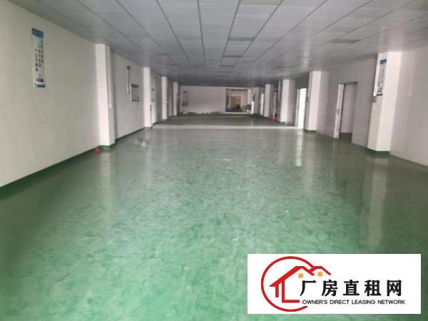  塘厦168工业区独院厂房3000平方招租