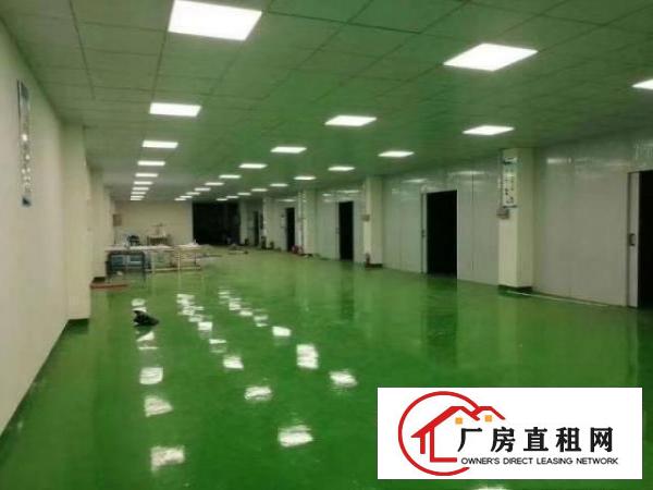  塘厦168工业区独院厂房3000平方招租
