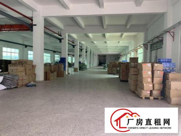 塘厦石鼓原房东1-2楼分租不限行业