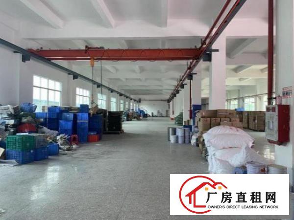  塘厦石鼓原房东1-2楼分租不限行业