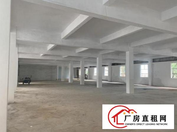  塘厦石鼓原房东1-2楼分租不限行业