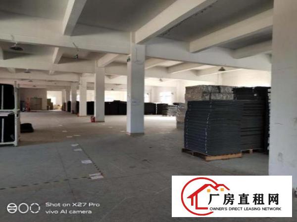  塘厦石鼓原房东1-2楼分租不限行业