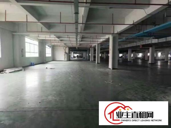  东莞塘厦独栋厂房共60000 平，分栋初出租，价格面谈