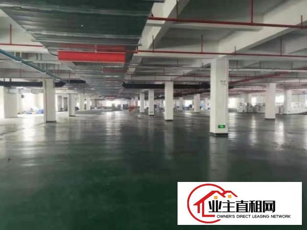  东莞塘厦独栋厂房共60000 平，分栋初出租，价格面谈