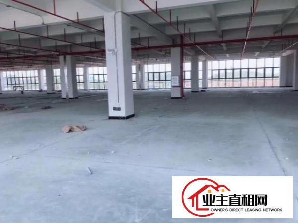 塘厦高速出口附近全新厂房88000平，租金可面谈