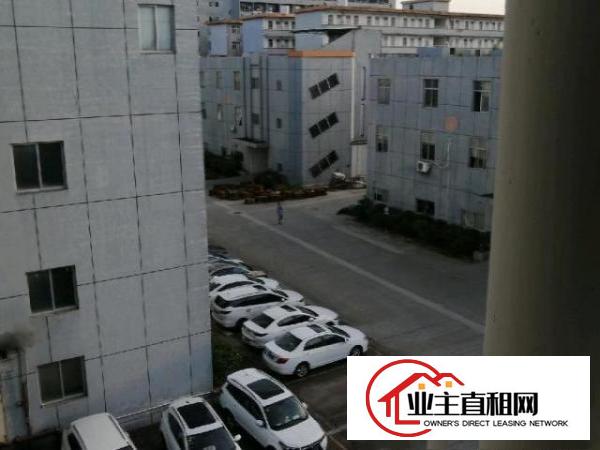  大型工业园招租独栋2-5层每层3185平方
