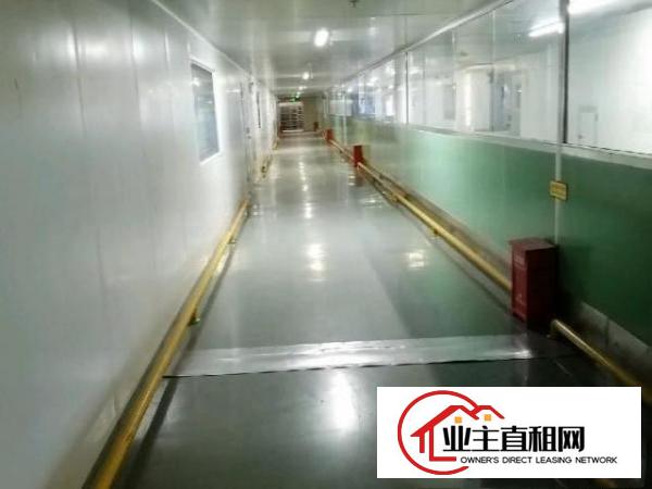  大型工业园招租独栋2-5层每层3185平方