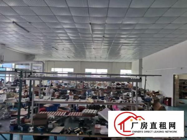  塘厦镇石鼓，标准厂房2楼9000平米，实际面积出租