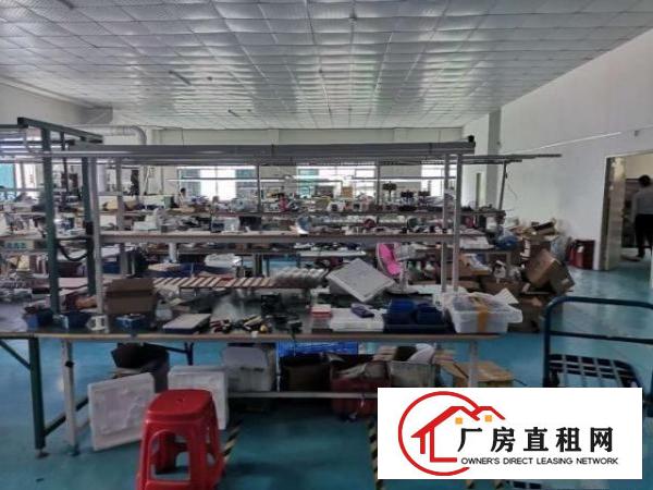  塘厦镇石鼓，标准厂房2楼9000平米，实际面积出租