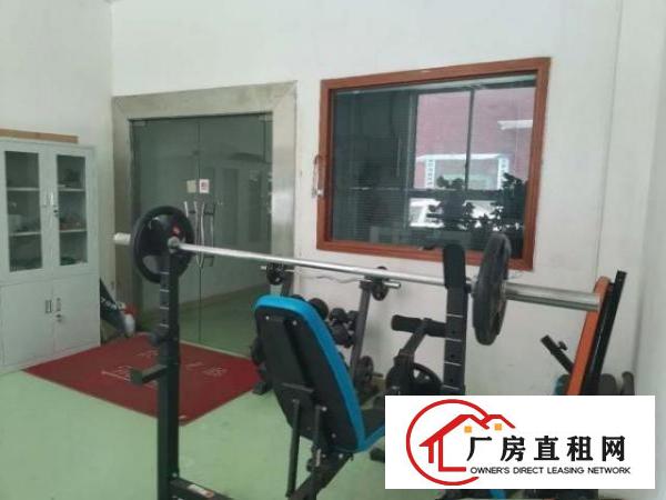  塘厦镇大坪高速口旁1公里标准1楼1200平实际面积出租