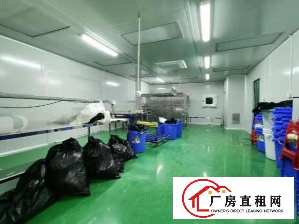  公摊小！四村1800平米一楼厂房和楼上厂房，分别900平/层