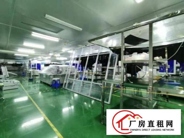  公摊小！四村1800平米一楼厂房和楼上厂房，分别900平/层