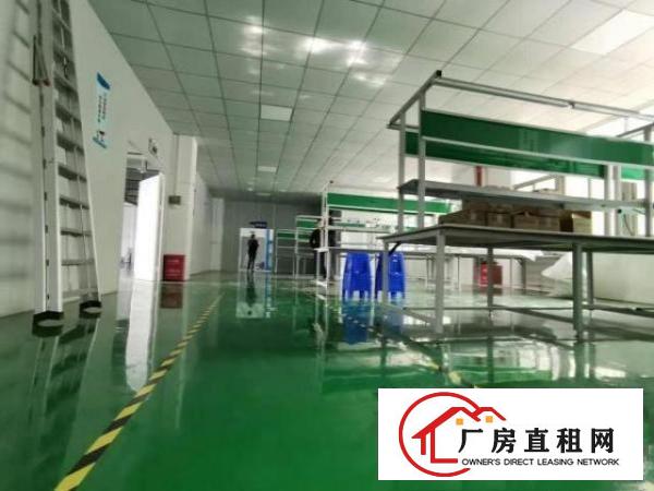  火火，业主好说话，塘厦科苑城6000平方米装修好独院厂房出租