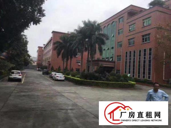  塘厦石马3600平方红本独院厂房。临石鼓/凤岗，塘厦厂房出租