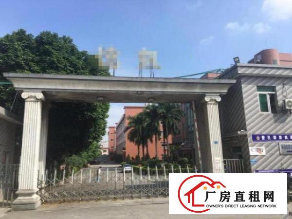  塘厦石马3600平方红本独院厂房。临石鼓/凤岗，塘厦厂房出租