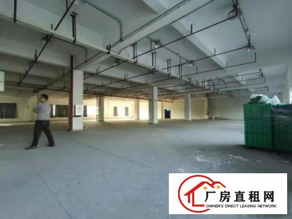  塘厦石马3600平方红本独院厂房。临石鼓/凤岗，塘厦厂房出租