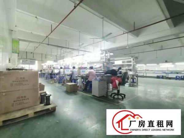  塘厦石马3600平方红本独院厂房。临石鼓/凤岗，塘厦厂房出租