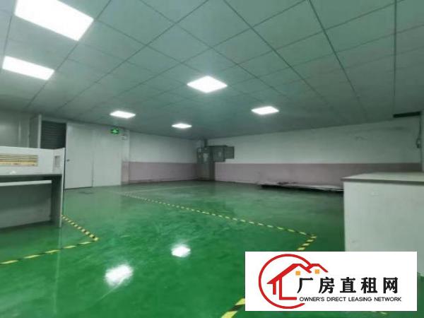  布局有致！塘厦沙湖1400平免装修独院2楼厂房！蛟乙塘/大坪