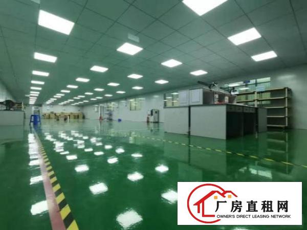  布局有致！塘厦沙湖1400平免装修独院2楼厂房！蛟乙塘/大坪