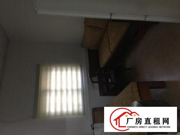  出租塘厦镇工业莲湖社区莲塘唇巷2号4房一厅