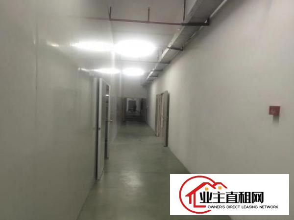  出租塘厦镇楼上3000平厂房出，原房东，消防喷淋，精装办公室