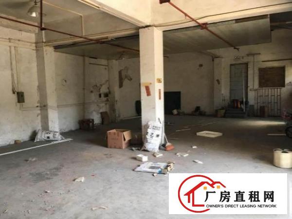  塘厦诸佛岭360平方米标准一楼厂房，五金吸塑仓库