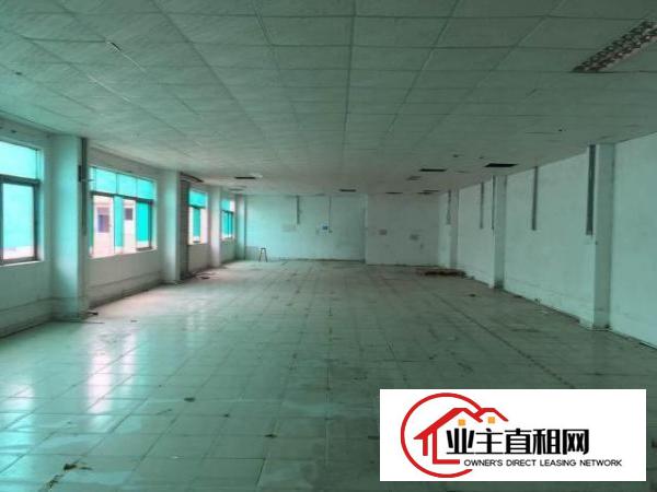  【~~实拍！塘厦800，700，600平免装修厂房~~】