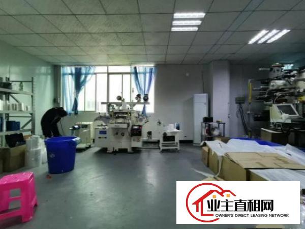  各行业任用，龙背岭2500平米花园式二层独院厂房