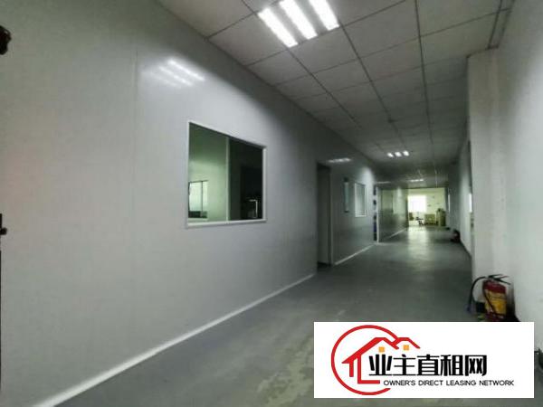  各行业任用，龙背岭2500平米花园式二层独院厂房